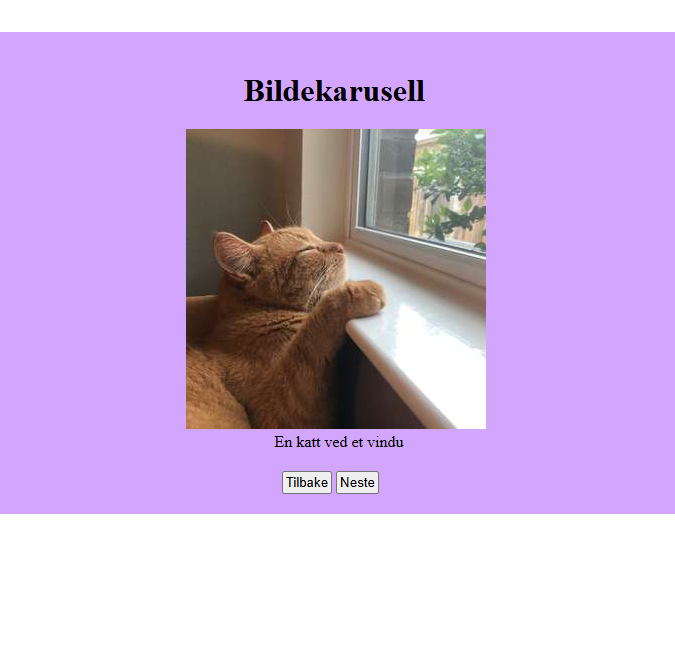 Bilde av bildekarusellen
